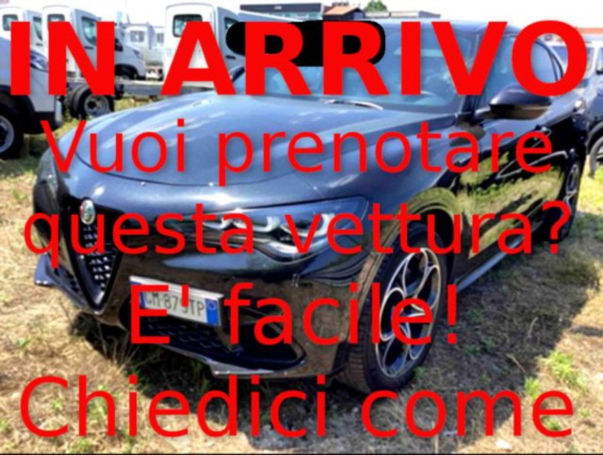 Alfa Romeo Stelvio Stelvio 2.2 Turbodiesel 210 CV AT8 Q4 Veloce (2)