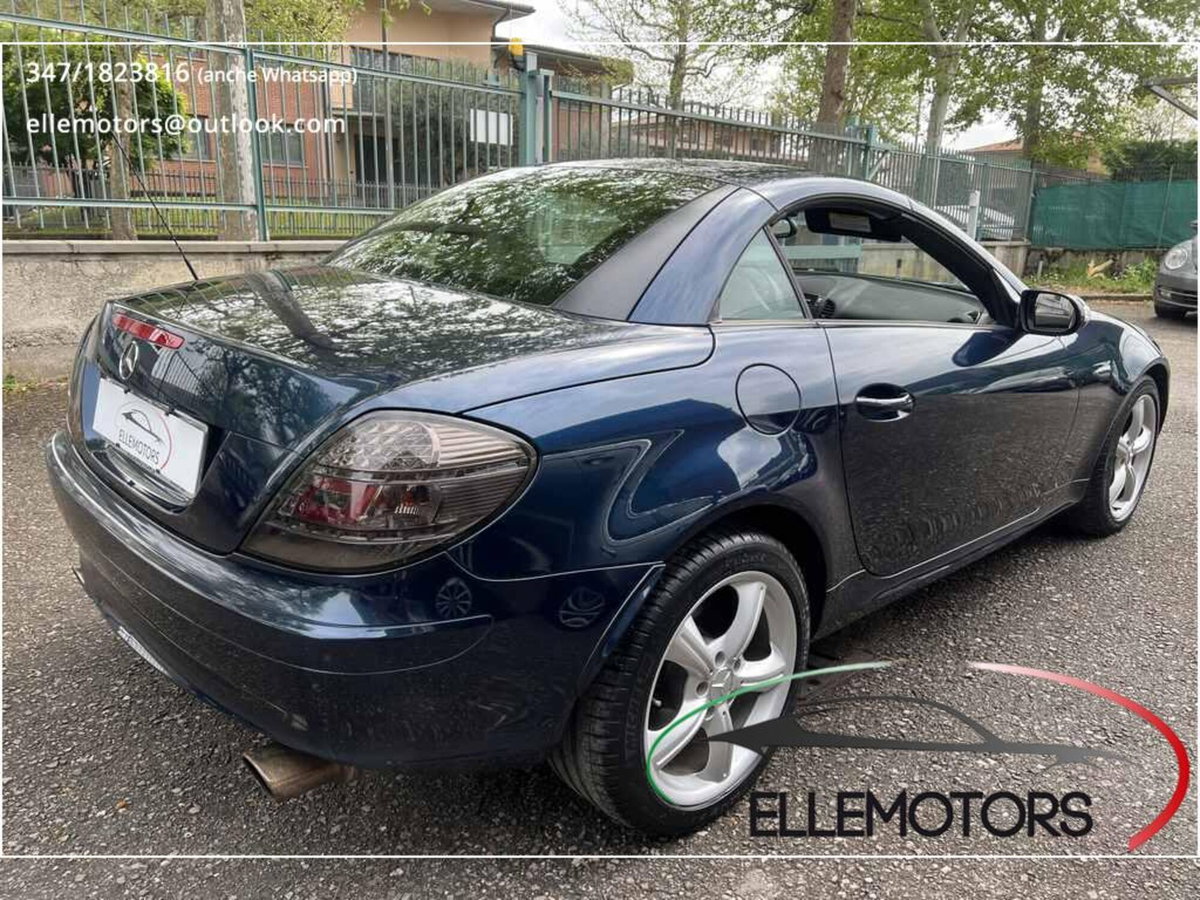 Mercedes-Benz SLK 350 cat (15)