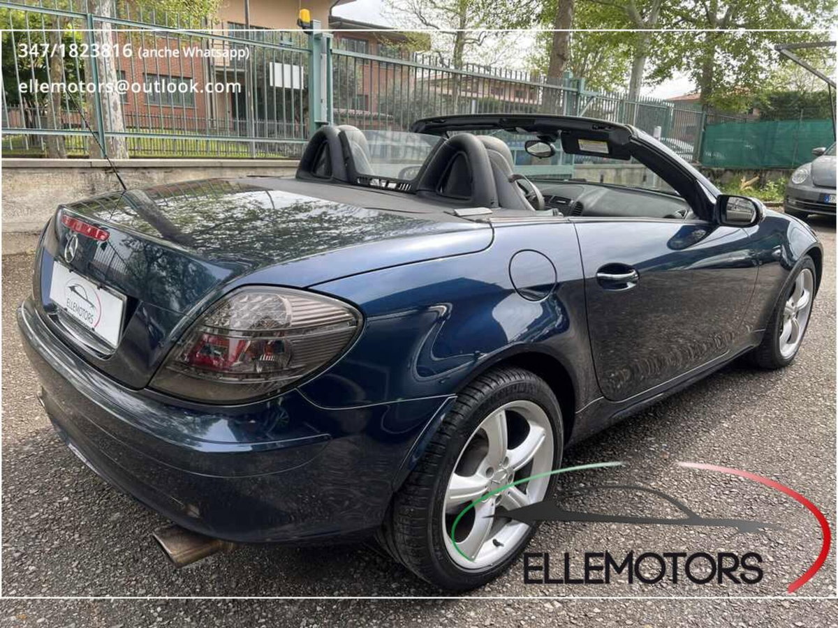 Mercedes-Benz SLK 350 cat (7)