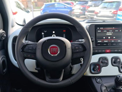 Fiat Panda 1.0 firefly hybrid s&s 70cv 5p.ti (12)