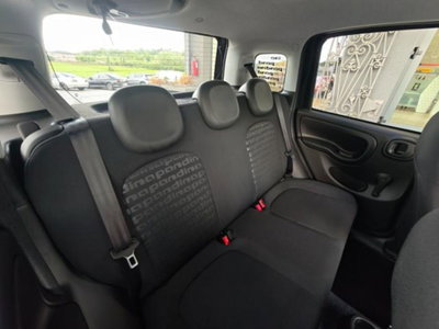 Fiat Panda 1.0 firefly hybrid s&s 70cv 5p.ti (14)