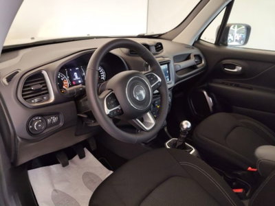 Jeep Renegade 1.0 T3 Longitude (8)