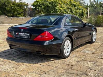 Mercedes-Benz SL 350 cat (10)