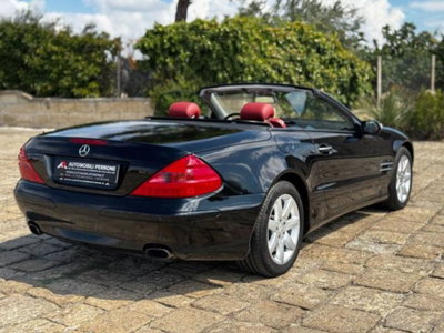 Mercedes-Benz SL 350 cat (11)