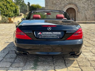 Mercedes-Benz SL 350 cat (12)
