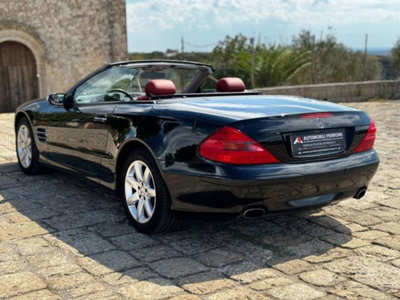 Mercedes-Benz SL 350 cat (13)