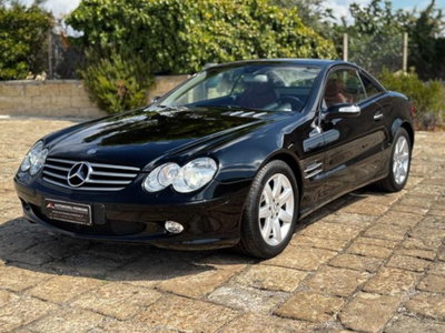 Mercedes-Benz SL 350 cat (14)