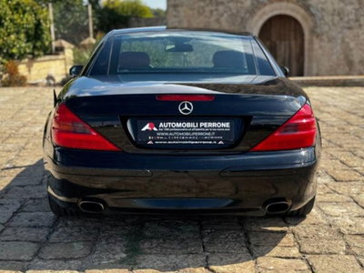 Mercedes-Benz SL 350 cat (16)
