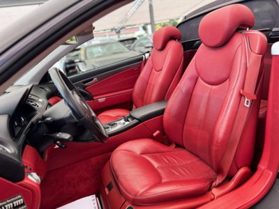Mercedes-Benz SL 350 cat (17)