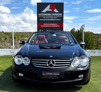 Mercedes-Benz SL 350 cat (2)