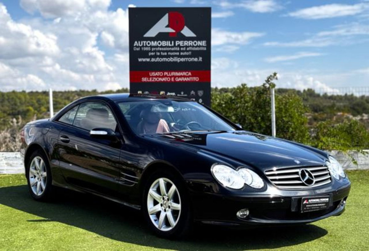 Mercedes-Benz SL 350 cat (3)
