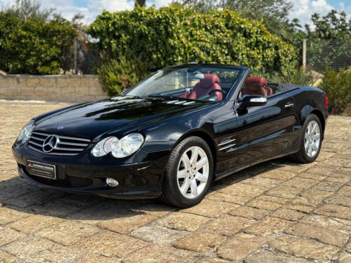 Mercedes-Benz SL 350 cat (4)