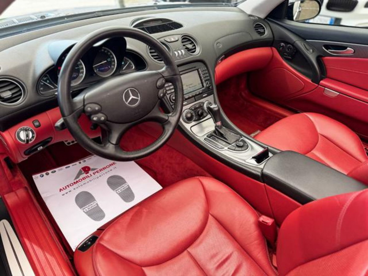 Mercedes-Benz SL 350 cat (5)