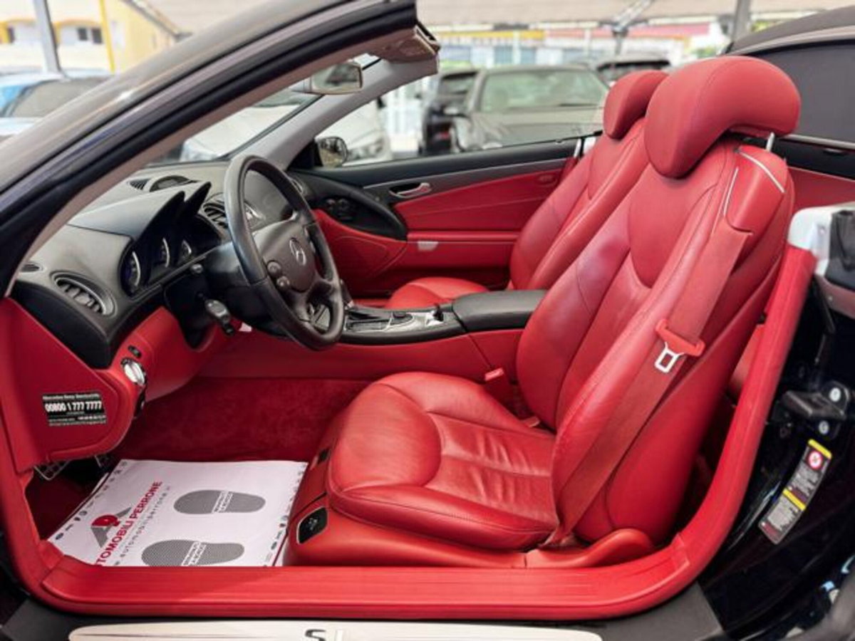 Mercedes-Benz SL 350 cat (6)