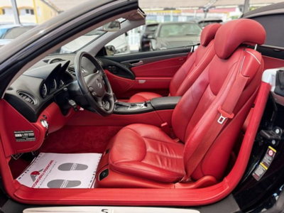 Mercedes-Benz SL 350 cat (6)