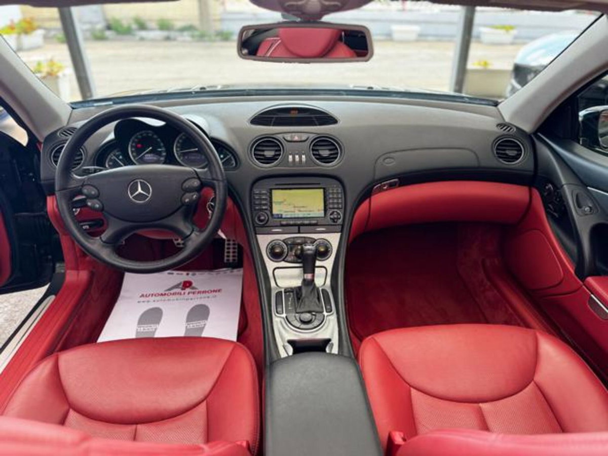 Mercedes-Benz SL 350 cat (7)