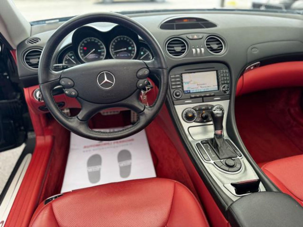 Mercedes-Benz SL 350 cat (8)