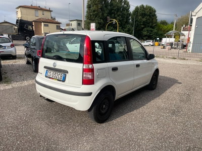 Fiat Panda 1.2 Dynamic (5)