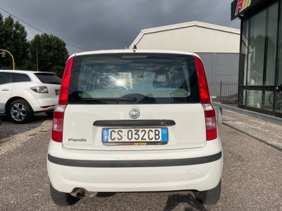 Fiat Panda 1.2 Dynamic (6)