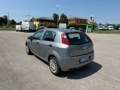Fiat Punto 1.2 8V 5 porte Easy (5)