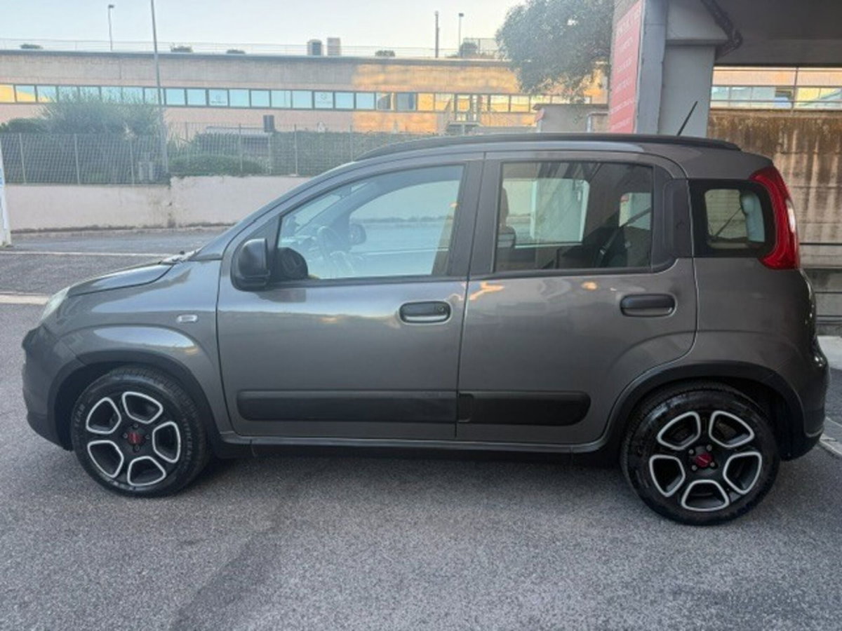 Fiat Panda Cross Cross 1.0 FireFly S&S Hybrid (5)
