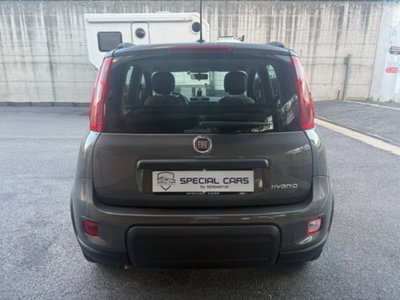 Fiat Panda Cross Cross 1.0 FireFly S&S Hybrid (6)