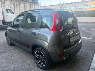 Fiat Panda Cross Cross 1.0 FireFly S&S Hybrid (8)