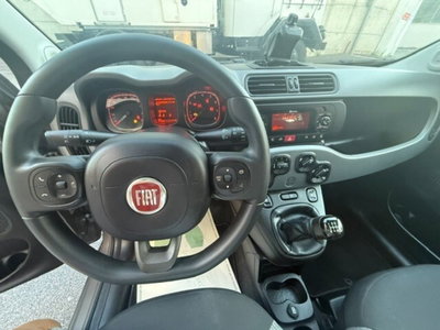 Fiat Panda Cross Cross 1.0 FireFly S&S Hybrid (9)