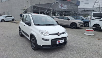 Fiat Panda 1.0 FireFly S&S Hybrid City Life usata