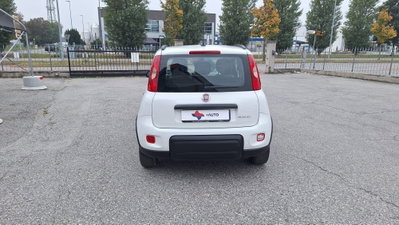 Fiat Panda 1.0 FireFly S&S Hybrid City Life (6)