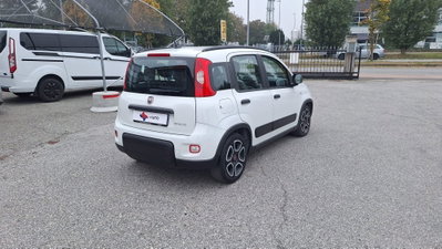 Fiat Panda 1.0 FireFly S&S Hybrid City Life (7)