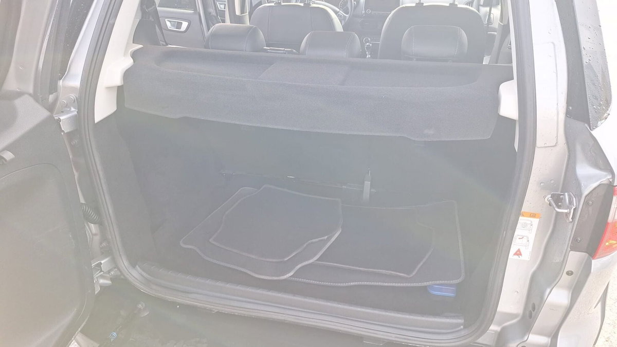 Ford EcoSport 1.0 EcoBoost 125 CV Start&Stop Active (11)