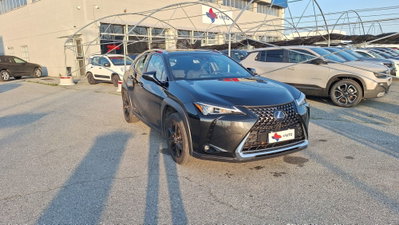 Lexus UX Hybrid Business usata