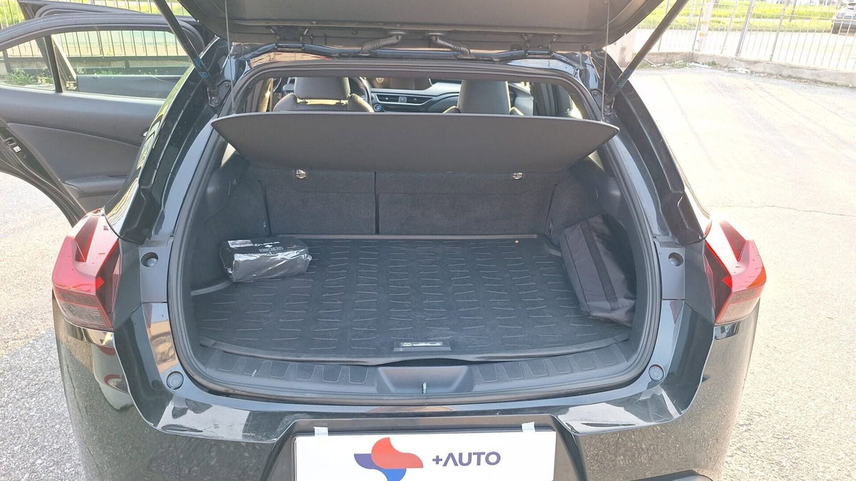 Lexus UX Hybrid Business (12)