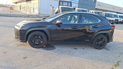 Lexus UX Hybrid Business (4)