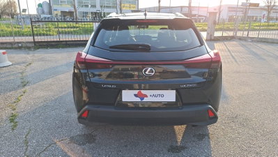 Lexus UX Hybrid Business (6)