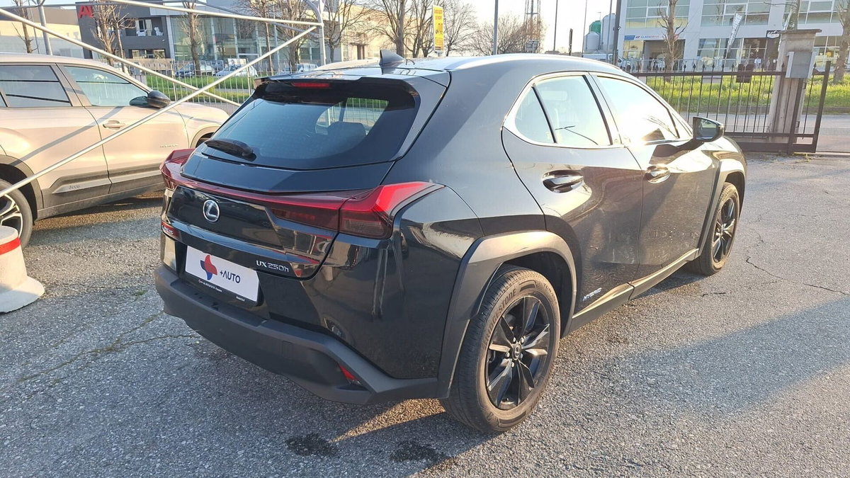 Lexus UX Hybrid Business (7)