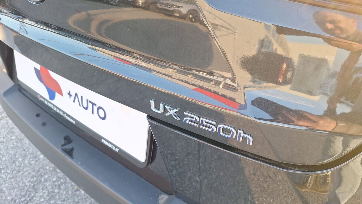 Lexus UX Hybrid Business (9)