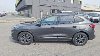 Ford Kuga 1.5 EcoBlue 120 CV 2WD ST-Line (4)