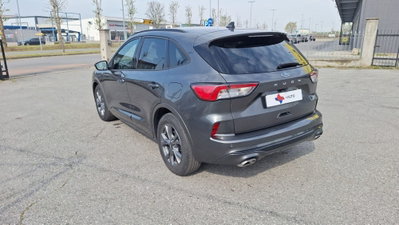 Ford Kuga 1.5 EcoBlue 120 CV 2WD ST-Line (5)