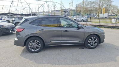 Ford Kuga 1.5 EcoBlue 120 CV 2WD ST-Line (8)