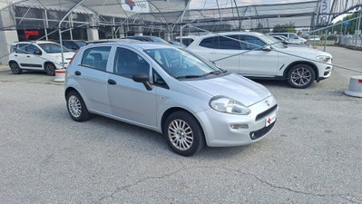 Fiat Punto 1.2 8V 5 porte Street usata