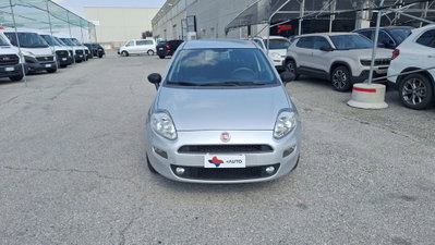 Fiat Punto 1.2 8V 5 porte Street (2)