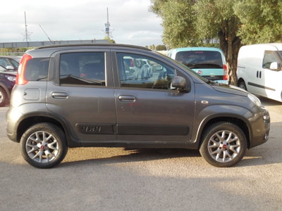 Fiat Panda 1.3 MJT 95 CV S&S Trekking (8)