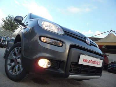 Fiat Panda 1.3 MJT 95 CV S&S Trekking (9)