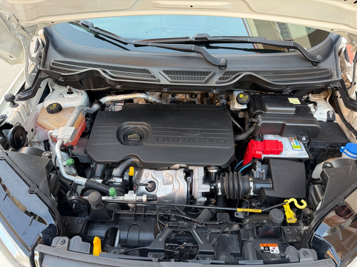 Ford EcoSport 1.5 TDCi 95 CV Titanium S (15)