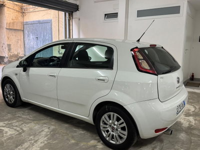 Fiat Punto 1.3 MJT II S&S 85 CV 5 porte ECO Young (5)