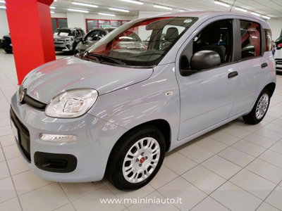 Fiat Panda Cross Cross 1.0 FireFly S&S Hybrid usata