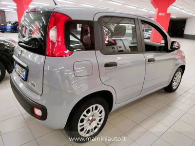 Fiat Panda Cross Cross 1.0 FireFly S&S Hybrid (2)