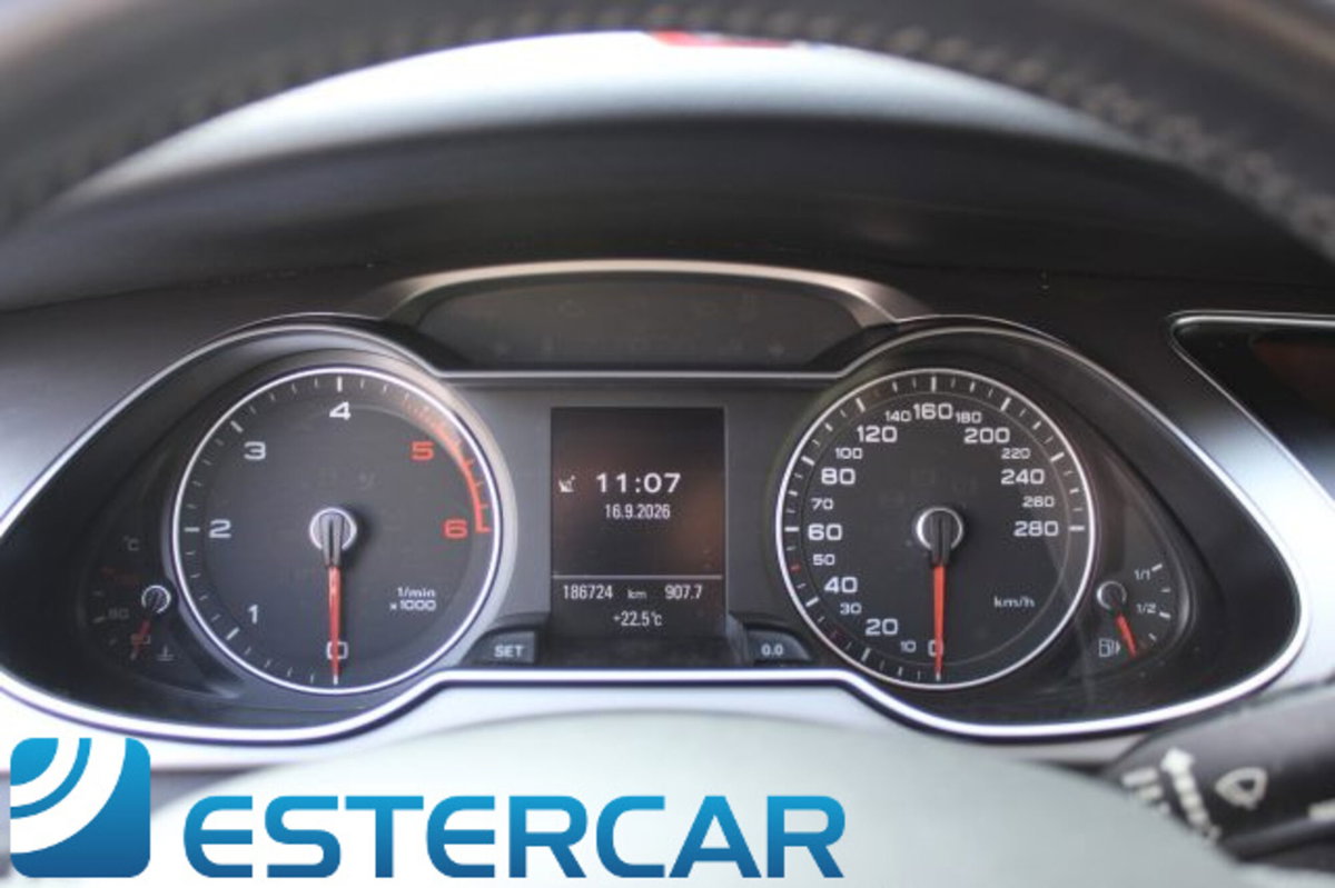 Audi A4 Avant 2.0 TDI 150 CV Advanced (16)